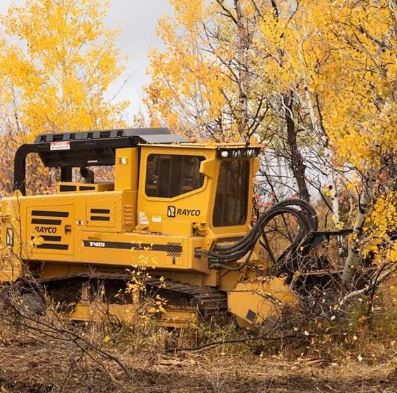 New Rayco Forestry Mulcher for Sale